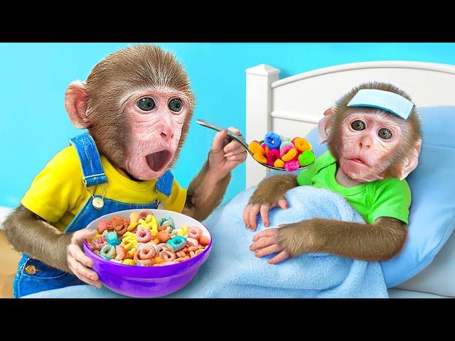 KiKi Monkey spent 24 hours to be Good Brother Take Care of Baby Got Sick and Duck | KUDO ANIMAL KIKI