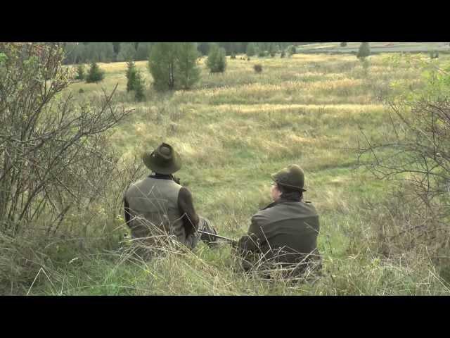 Hunting deer Slovakia 2013