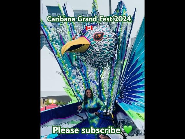 Caribana Fest Toronto 2024 #caribana #toronto #torontocanada #festivalvibes