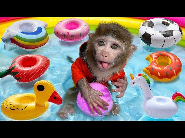 Monkey Baby Bim Bim Drives To The Pool And Bring A Swim Float With Puppy in the garden