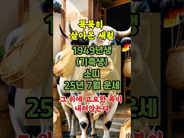 1949년 기축생 소띠 25년 7월 운세, 금전운, 가족운, 행운의 숫자등을 확인해보세요~ #사주 #운세 #복  #지식  #재물운  #행운 #풍수 #대박운 #띠별운세