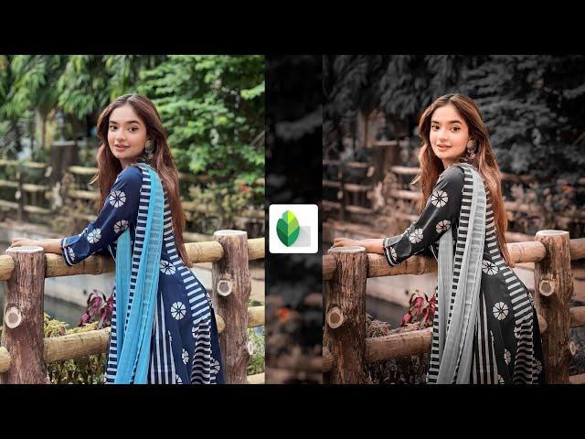 Snapseed Dark And Brown Effect Photo Editing Tutorial | Snapseed Background Colour Change Tricks