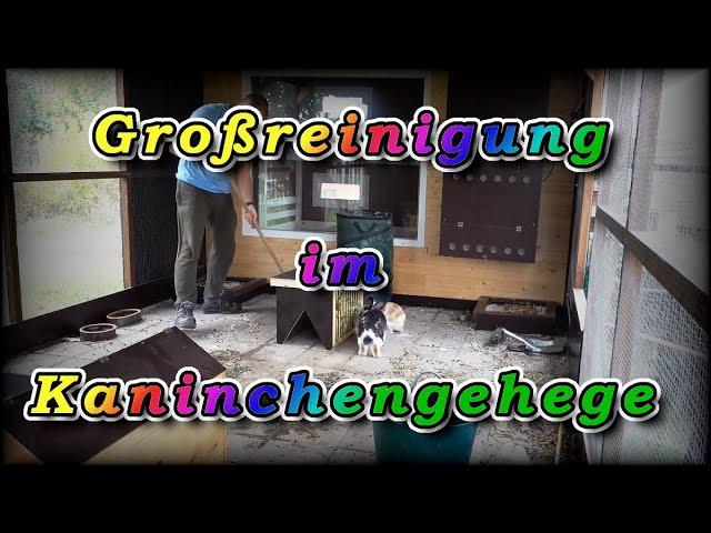 Erste Großreinigung im neuem Kaninchen Gehege