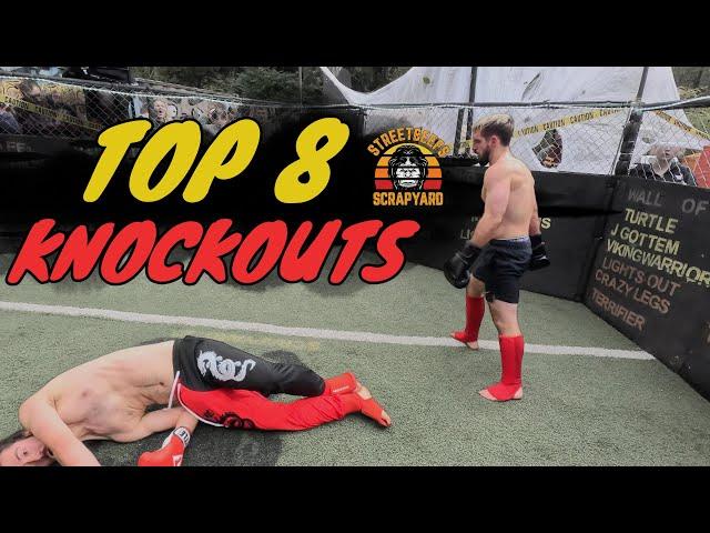 TOP 8 Knockouts (You Havent seen)