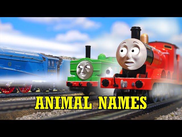 Animal Names - COMPLETE EPISODE | Thomas & Friends: Back on Track | Episode 4 (NOT FOR KIDS)