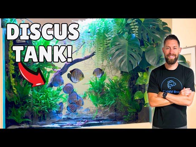 Beautiful 300 Gallon Tall Discus Aquarium + Aquascape Studio (Private Tour)
