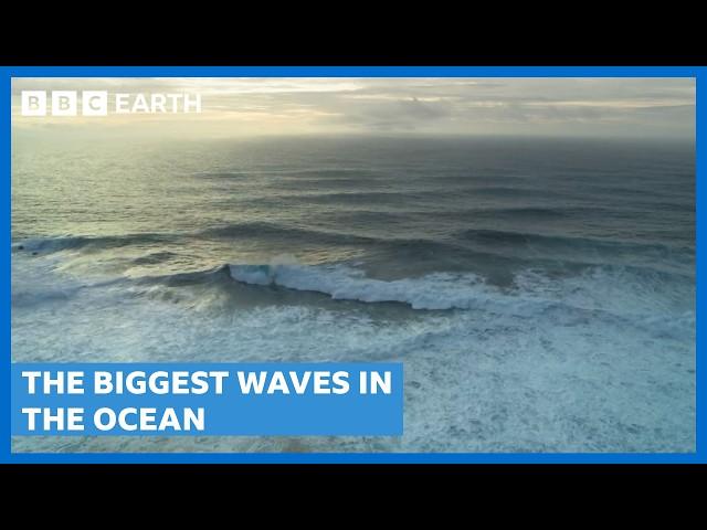 What Creates The Biggest Waves In The Ocean? | Spectacular Earth | BBC Earth Science