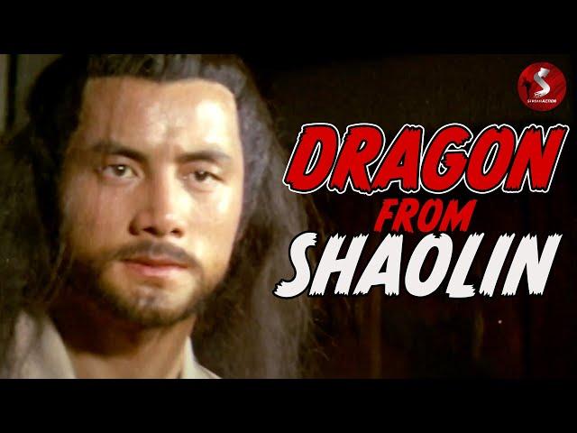 Dragon From Shaolin (1978) | MARTIAL ARTS | Full Movie