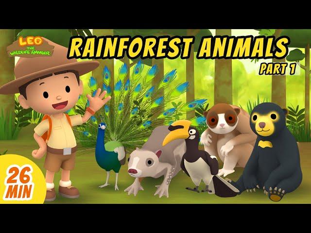 Rainforest Animals Minisode Compilation (Part 1/2) - Leo the Wildlife Ranger | Animation | For Kids