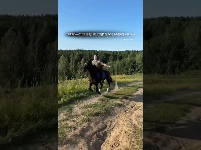 КОННЫЕ ПРОГУЛКИ СПБ
