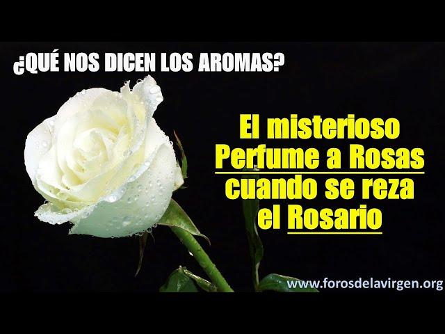 El misterioso Perfume a Rosas cuando se reza el Rosario ¿qué nos dicen los aromas?