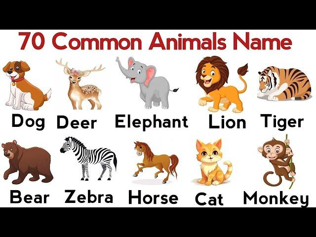 Animals Name | Learn Animals Name in English | Animals Name Basic English Learning | animal pictures