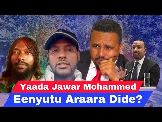 eenyutu araara dide? Jawar Mohammed Maal jedhe Kaabutaa yaada gabaabaa qaba.