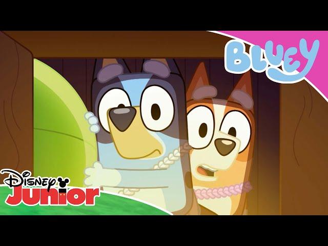  Var är påskägget? | Bluey | Disney Junior Sverige