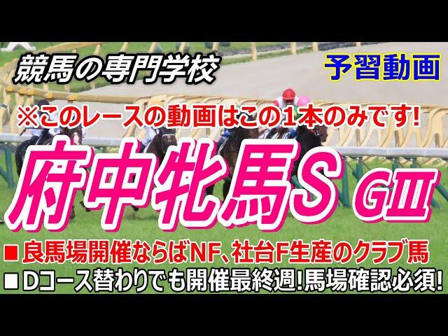 【府中牝馬S2025】予習動画 注意すべきはDコース替わりと今の馬場状態