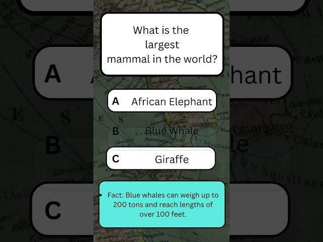 KNOWLEDGE QUIZ  geography quiz #CapitalCityQuiz #GlobalGeography #knowledgefacts #GeoQuiz #QuizGames