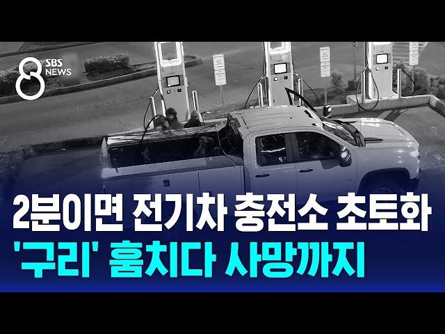 2분이면 전기차 충전소 초토화…'구리' 훔치다 사망까지 / SBS 8뉴스