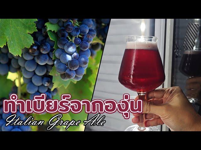 วิธีทำเบียร์องุ่น How to make Grape ale beer (champagne beer)