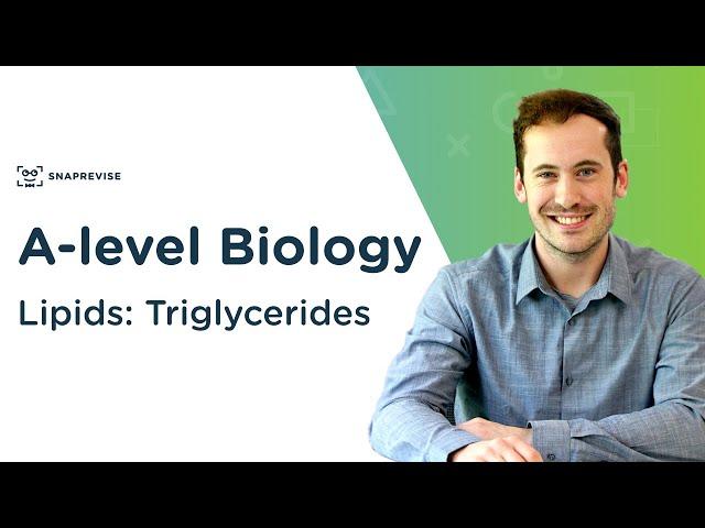 Lipids: Triglycerides | A-level Biology | OCR, AQA, Edexcel