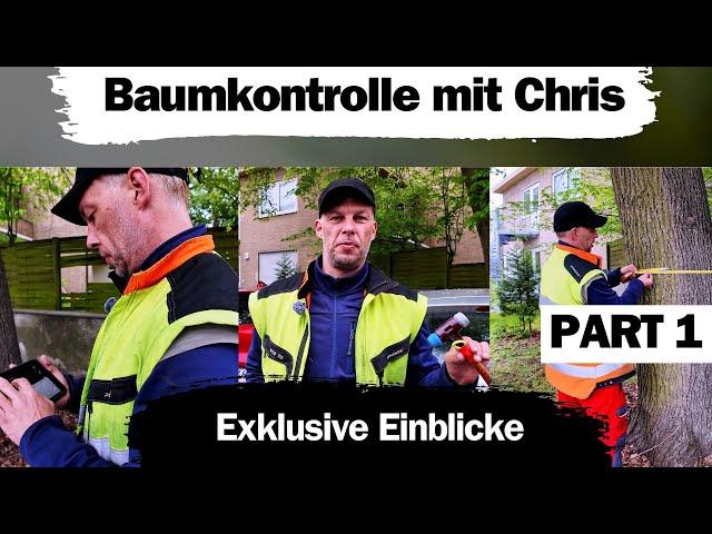 Baumkontrolle mit Chris | Einblicke | Baumwissen | Verkehrssicherheit