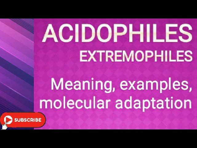 Acidophiles_  Extremophiles: Meaning, Examples, Molecular adaptation