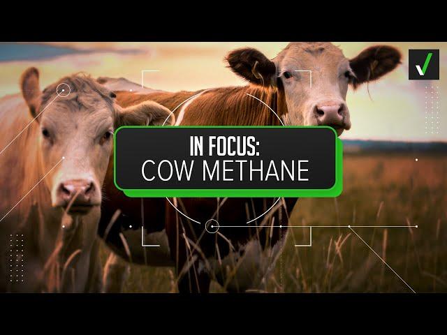 Yes, cattle are the top source of methane emissions in the U.S.