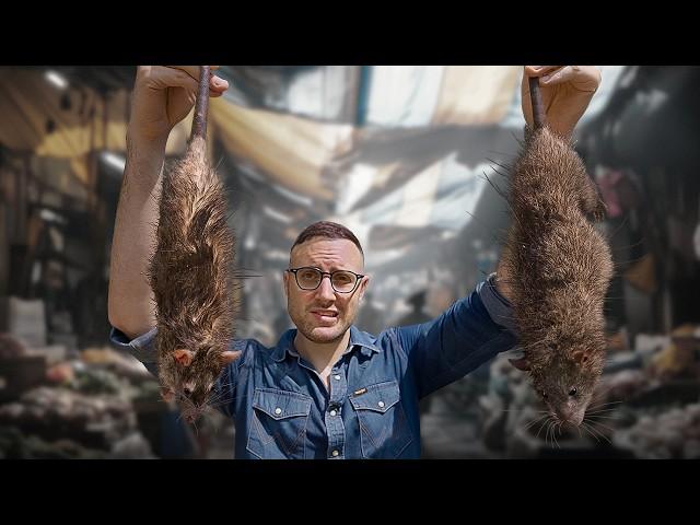 Surviving on Illegal RAT Meat! - Inside Asia’s Black Market for Rat