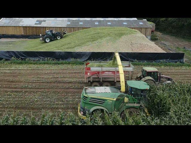 ensilage de maïs 2024 condition en Normandie 