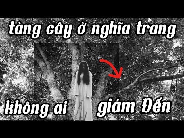 tàng cây ở nghĩa trang không ai giám Đến ! Huy Đăng tv