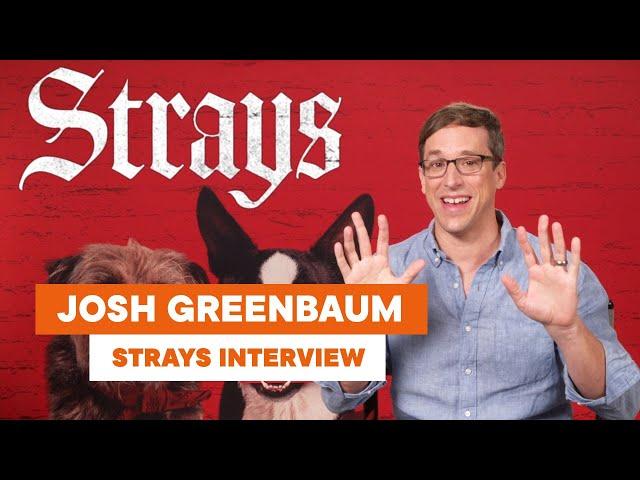 Josh Greenbaum on directing dogs in 'Strays', and why you probably won't see a sequel starring cats