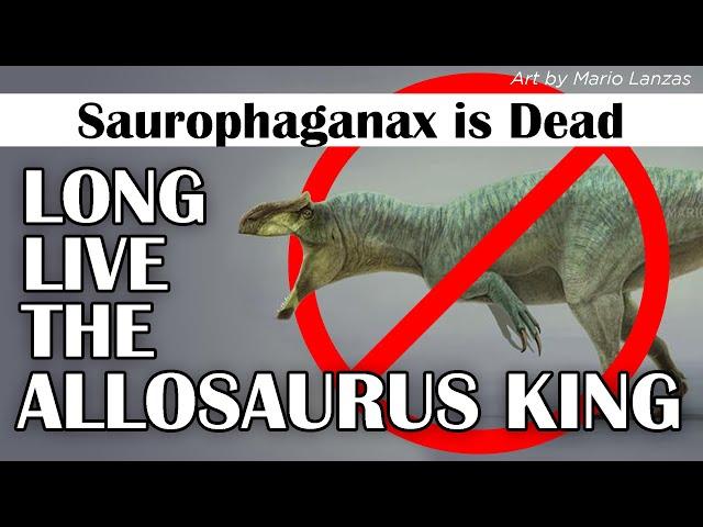 Saurophaganax is gone, Long Live the Allosaurus King