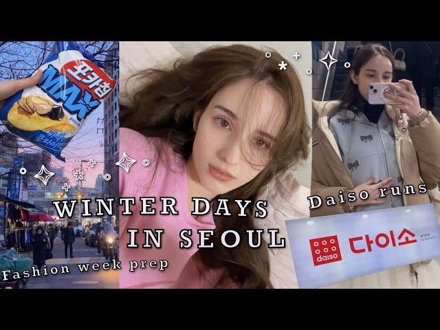 weekly Seoul vlog   thrifting, home cooked meals, daiso runs, and model life  외국인 모델 소피아 브이로그