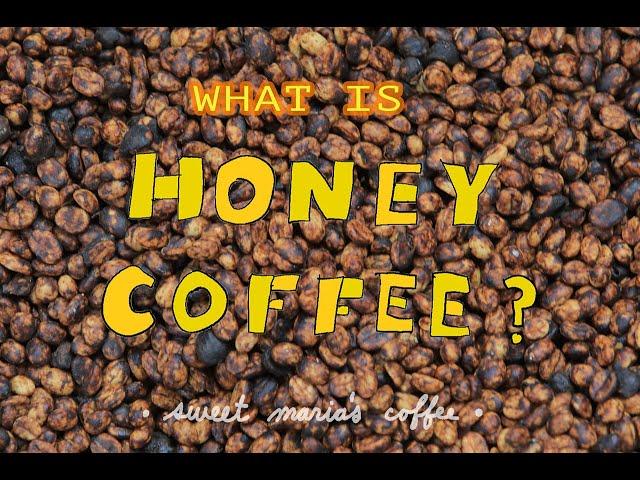 What is Honey Coffee? (Part 1)