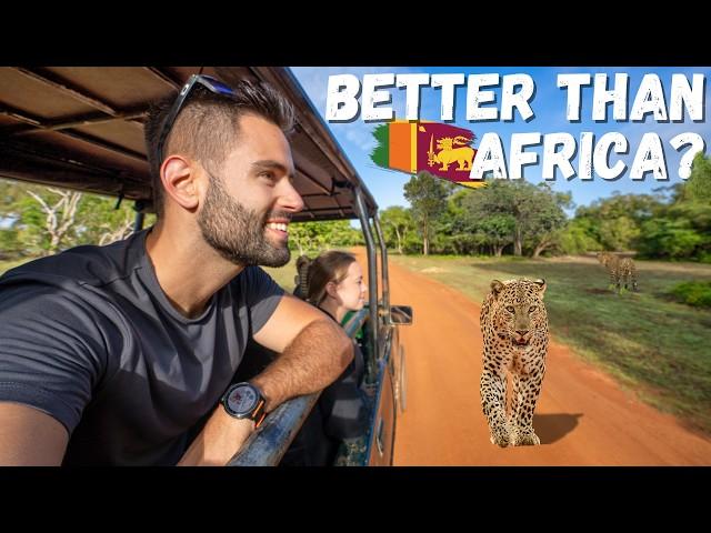 Sri Lankan VS African Safaris Which is WILDER?