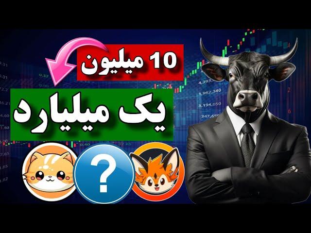 تبدلی 10 میلیون به یک میلیارد با پنج میم کوین  میم کوین های انفجاری با پتانسیل رشد بالا