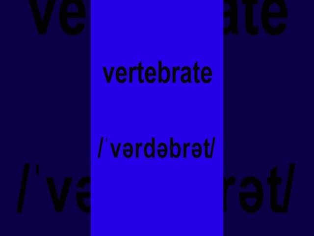 How to pronounce "vertebrate" in American English #americanpronounce #howtopronounce #learnenglish