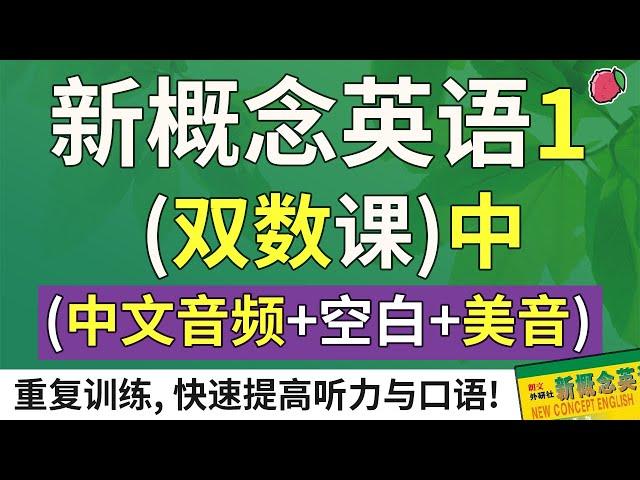 《新概念英语1》配套练习（双数课）中集（中文音频 + 空白时间 + 美音）| 最适合汉语母语者的英文教材