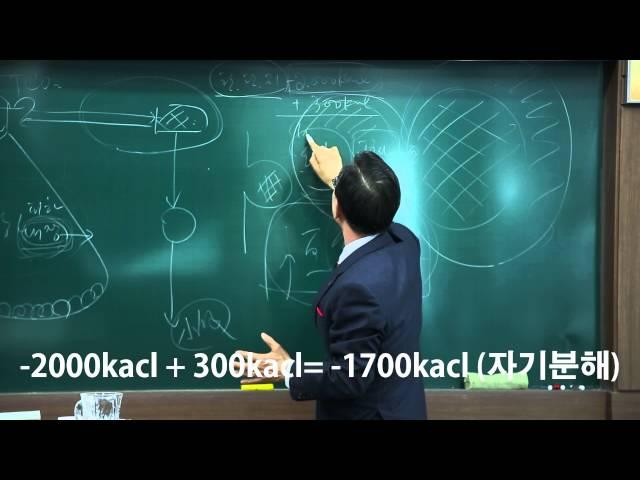 5. 인체정화? 대사효소 소화효소/효소식("5%는 의사가 95%는 내몸이 고친다"김세현의인체정화,해독프로젝트)