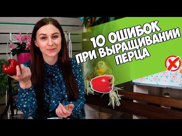 Выращиваем перец с HITSAD TV ️ Каких ошибок стоит избегать? ️ Полезные советы огородникам