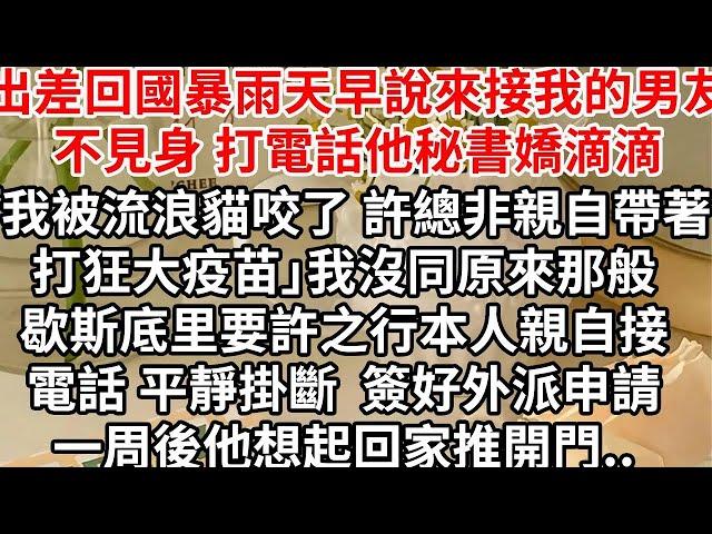 出差回國暴雨天早說來接我的男友不見身影，打電話他秘書嬌滴滴「我被流浪貓咬了 許總非親自帶著打狂大疫苗」我沒同原來那般歇斯底里要許之行本人親自接電話，平靜掛斷簽好外派申請，一周後他想起回家推開門