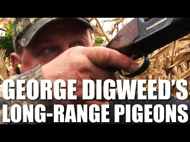 George Digweed shoots Long-Range Pigeons