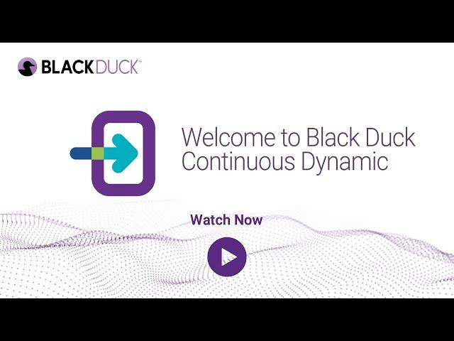 Continuous Dynamic Application Security Testing (DAST) | Black Duck