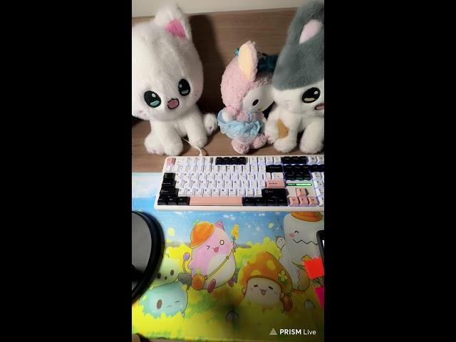 영희화폐 6월19일 010 3981 5367