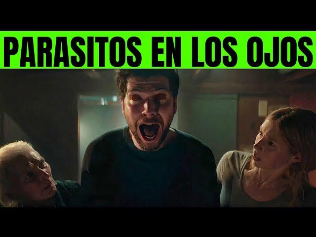 L0S DEV0RA P0R DENTR0 - Sea Fev3r  RESUMEN Pelicula por un gatito