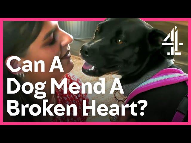 Dog Helps Mend A Broken Heart | The Dog House