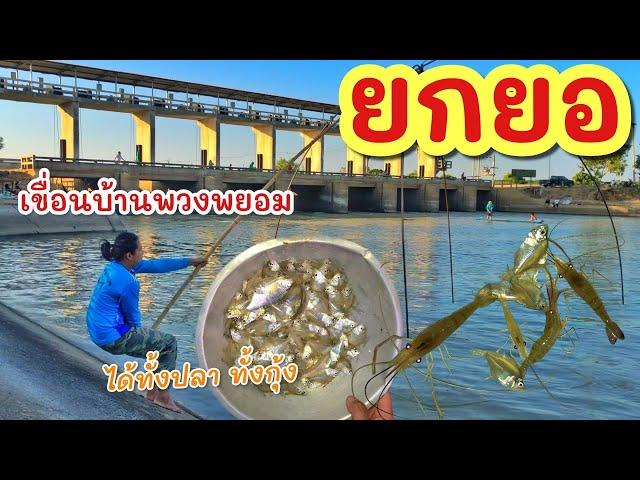 ยกยอ หลังเขื่อนจนค่ำ ►Fishing lifestyle Ep.779