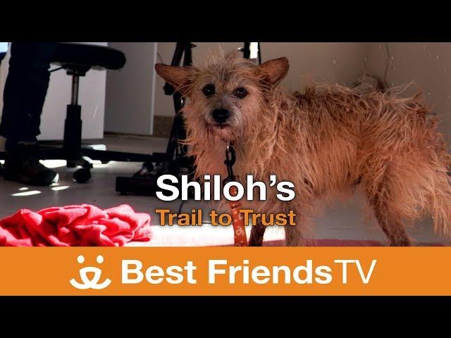 Best Friends TV Episode 24: Shiloh's Trail to Trust