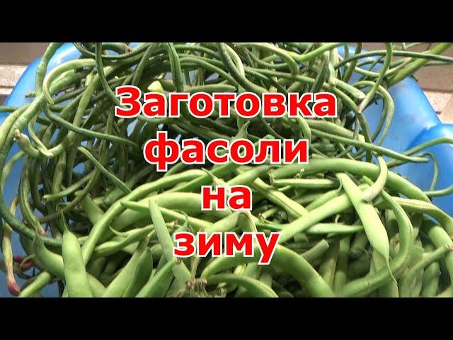 Заготовка фасоли на зиму. Вигна, спаржевая и зерновая фасоль.