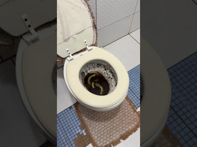 Cómo desatascar tu inodoro de forma rápida y sencilla #edit
