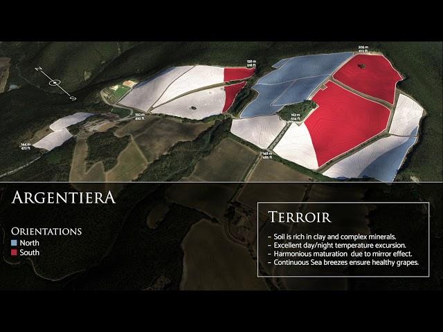 Tenuta Argentiera: the Argentiera vineyards in 3D